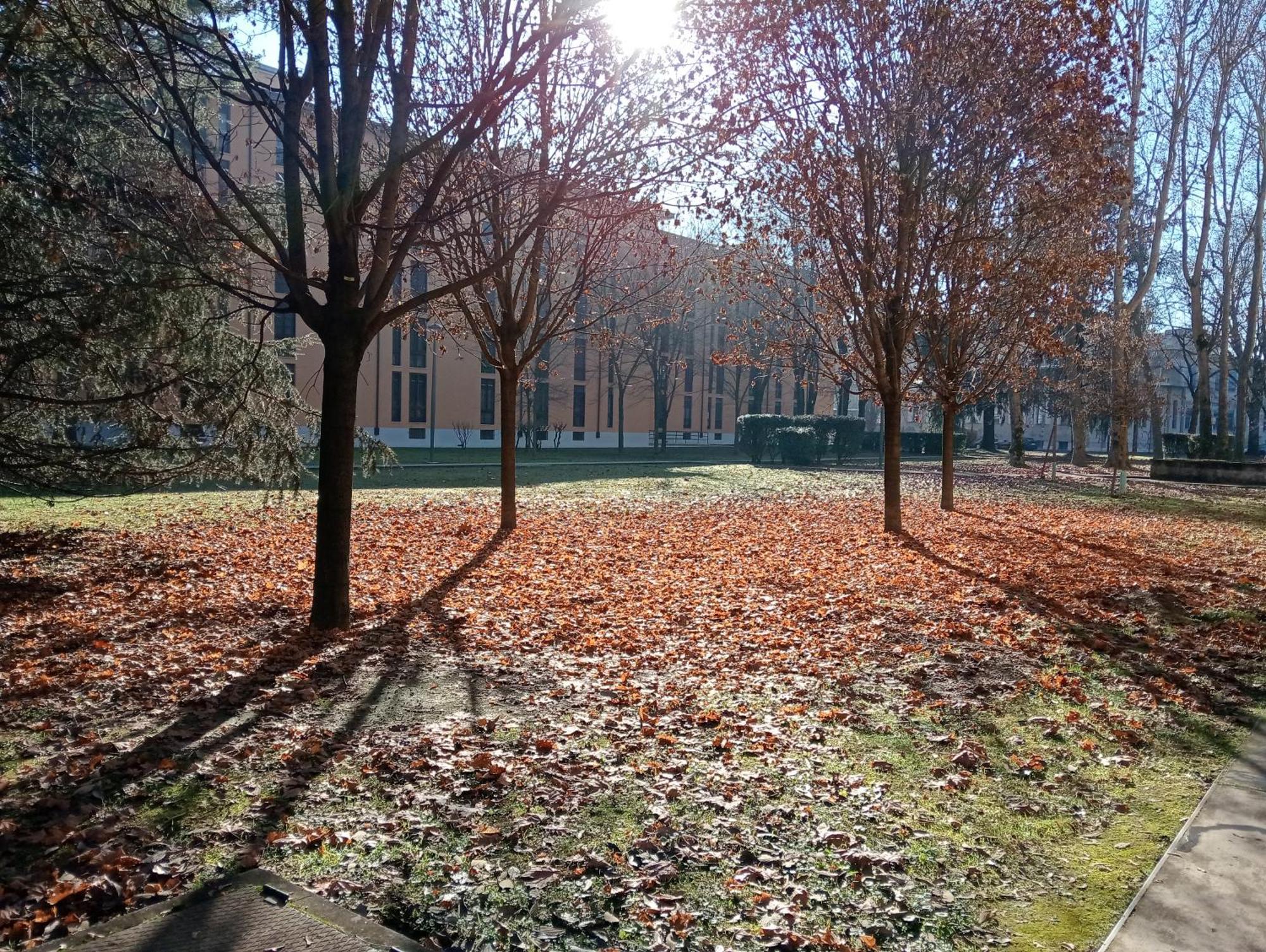 Sandonhouse Milano San Donato Milanese Ngoại thất bức ảnh